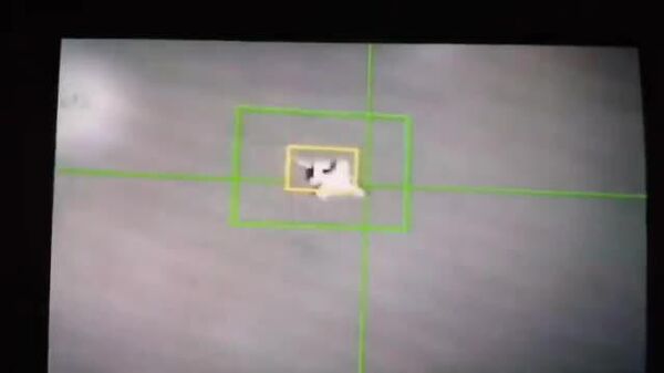 سپاه: یک جنگنده پیشرفته دشمن در جنوب جزیره قشم هدف اصابت قرار گرفت و سقوط کرد - اسپوتنیک ایران  