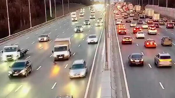 یک توله سگ در مسکو گم شد و در جاده کمربندی مسکو با یک خودرو تصادف کرد - اسپوتنیک ایران  