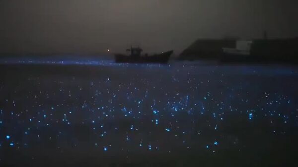 پدیده زیبا و جالبی در سواحل چین - اسپوتنیک ایران  