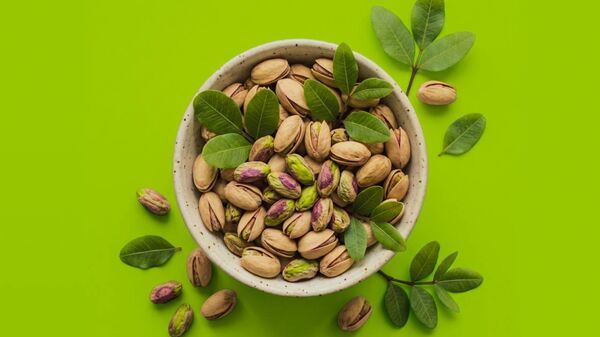 پسته ایرانی - اسپوتنیک ایران  