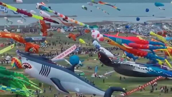 🪁یکی از بزرگترین جشنواره‌های بادبادک‌بازی جهان در شهر ویفانگ چین برگزار شد - اسپوتنیک ایران  