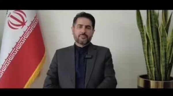بحث استرس ناشی از جنگ انفجارها و آلودگیهای جنگ می تواند مستقیما بر حیات وحش بر زیست و بر زاد و ولد اثر بگذارد - اسپوتنیک ایران  