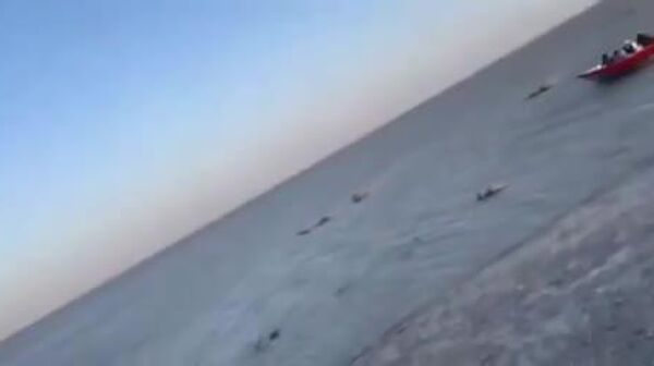 پر آب شدن دریاچهٔ هامون پس از 12 سال - اسپوتنیک ایران  
