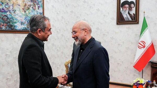 رئیس مجلس ایران: حوادث اخیر نشان داد که حضور آمریکا در منطقه زمینه ناامنی را فراهم می کند - اسپوتنیک ایران  