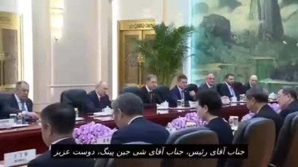 پوتین مذاکرات خود با شی را با یک ضربالمثل چینی آغاز کرد - اسپوتنیک ایران  
