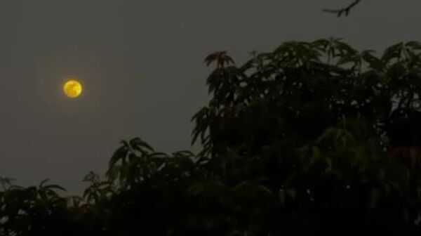 ماه می با یکی از چشمگیرترین مناظر آسمان شب خداحافظی میکند - اسپوتنیک ایران  
