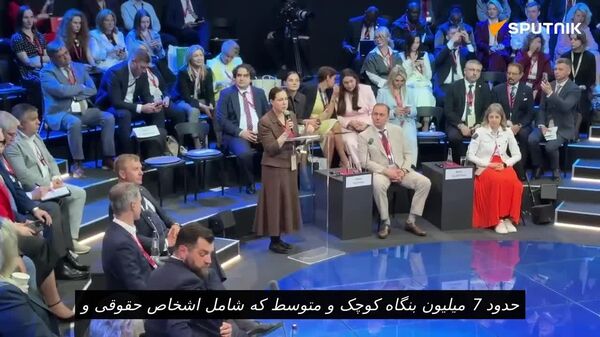 معاون وزیر توسعه اقتصادی روسیه: بنگاه های کوچک و متوسط تقریبا یک سوم از کل اشتغال اقتصادی کشور را تشکیل میدهند - اسپوتنیک ایران  