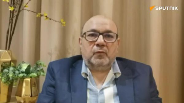 کارشناس: دلایل زیادی برای عدم اعلام بندهای تفاهم نامه وجود دارد - اسپوتنیک ایران  