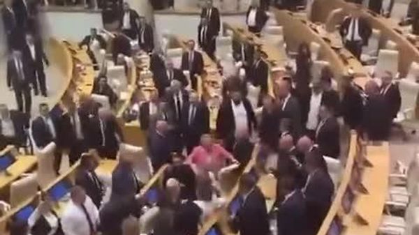نمایندگان مجلس گرجستان، جلسه پارلمان را با درگیری دسته جمعی به پایان رساندند - اسپوتنیک ایران  