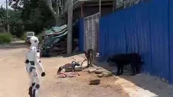 ملاقات یک سگربات که توسط یک ربات انساننما به گردش برده شده با سگهای واقعی - اسپوتنیک ایران  