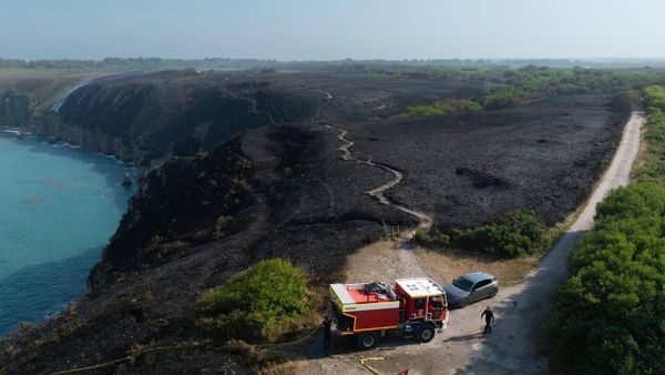آتشسوزی تاکنون بیش از 2000 هکتار از جنگلهای نزدیک پاریس را نابود کرده است - اسپوتنیک ایران  