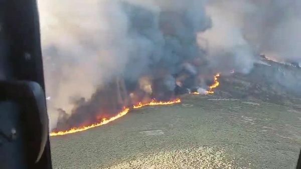 وضعیت فاجعهبار؛ تعداد تخلیهشدگان ناشی از آتشسوزیهای جنگلی در اسپانیا دو برابر شد - اسپوتنیک ایران  