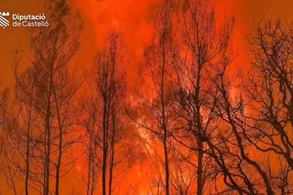 کاهش تواناییهای اسپانیا در اطفای حریق جنگلها به دلیل کمبود بالگردهای روسی کاموف در این کشور کاهش تواناییهای اسپانیا در اطفای حریق جنگلها به دلیل کمبود بالگردهای روسی کاموف در این کشور - اسپوتنیک ایران