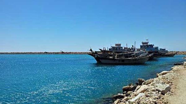 آرمان خورسند به اسپوتنیک: ما هم حمله به مراکز سازمان حفاظت محیط زیست را داشتیم، هم حمله به منابع طبیعی را - اسپوتنیک ایران  