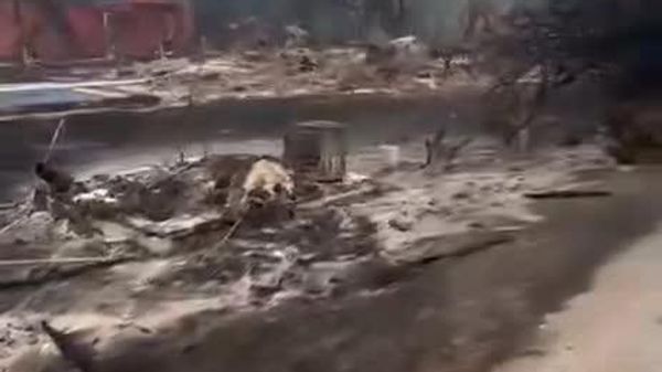شهر لو پورژ در فرانسه در آتش سوخت و این حادثه جنجال بزرگی را بر انگیخت - اسپوتنیک ایران  