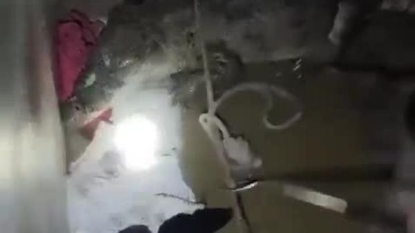 کشف تمساح 2 متری در حمام یک خانه در گجرات هند - اسپوتنیک ایران  