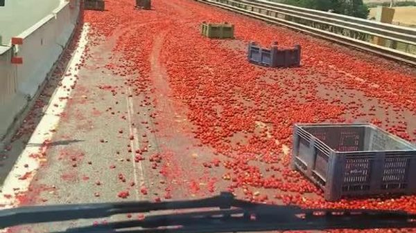 یک کامیون، بار گوجه فرنگی را در بزرگراهی در ایتالیا به زمین ریخت و ترافیک را فلج کرد - اسپوتنیک ایران  