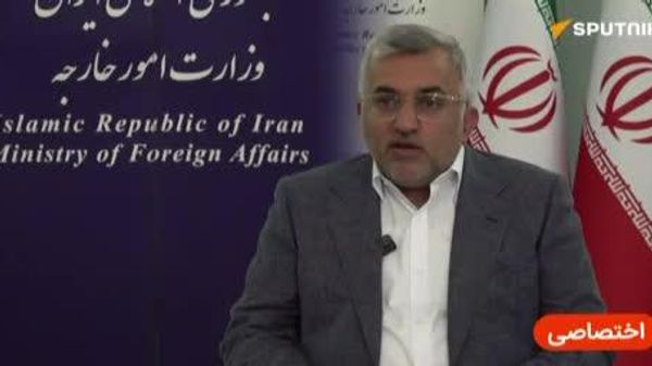 معاون وزیر امور خارجه ایران درباره نقش اسپوتنیک در تصمیمگیریهای اقتصادی دولت صحبت کرد - اسپوتنیک ایران  