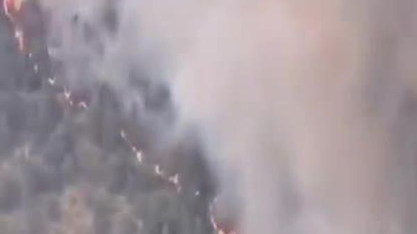 بیش از 1000 نفر در اسپانیا به دلیل آتشسوزی جنگلی از خانه هایشان تخلیه شدهاند - اسپوتنیک ایران  
