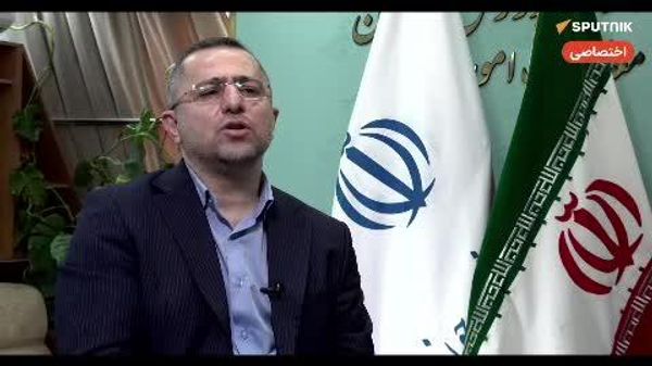رحیمی به اسپوتنیک: «پیام ما به دنیا نه پیام تنفر و دشمنی، بلکه پیام صلح و دوستیست» - اسپوتنیک ایران  