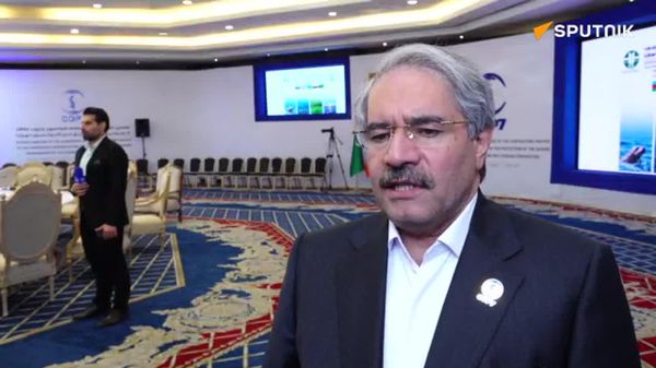 لاهیجان زاده به اسپوتنیک: زمینه های همکاری زیست محیطی روسیه و ایران بسیار گسترده است - اسپوتنیک ایران  