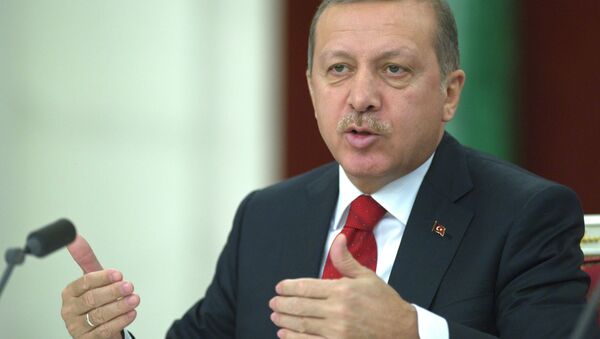 Переговоры президента РФ и премьер-министра Турции прошли в Кремле - اسپوتنیک ایران  
