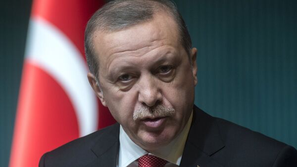 خودداری اردوغان از همکاری با روسیه، سوریه، عراق و ایران در مبارزه با داعش - اسپوتنیک ایران  