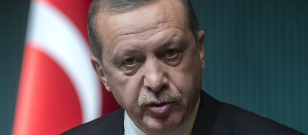 اردوغان اردوغان - اسپوتنیک ایران