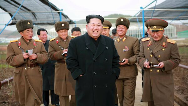 Лидер Северной Кореи Ким Чен Ын - اسپوتنیک ایران  