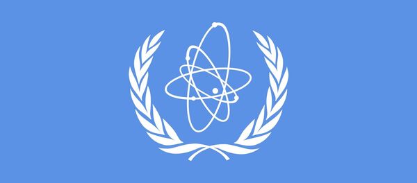 آژانس بین‌المللی انرژی اتمی: ایران از مرزهای تعین شده برجام عبور کرده است  - اسپوتنیک ایران  