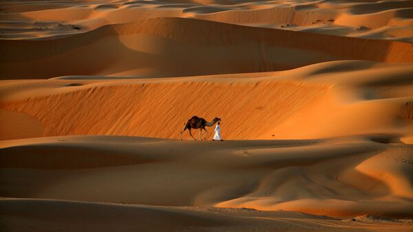 Человек с верблюдом идут по пустыне вокрестностях Абу-Даби - اسپوتنیک ایران  
