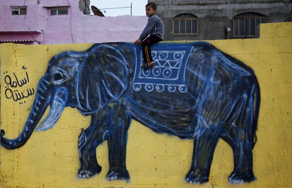 پسر فلسطینی  سوار بر فیل  نقاشی شده روی دیوار - اسپوتنیک ایران  
