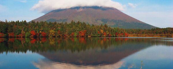 تبلیغات جذاب زیست محیطی +عکس - اسپوتنیک ایران  