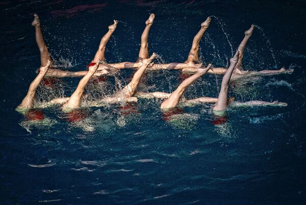 شرکت کنندگان شو مسابقات المپیک در شنای همزمان - اسپوتنیک ایران  