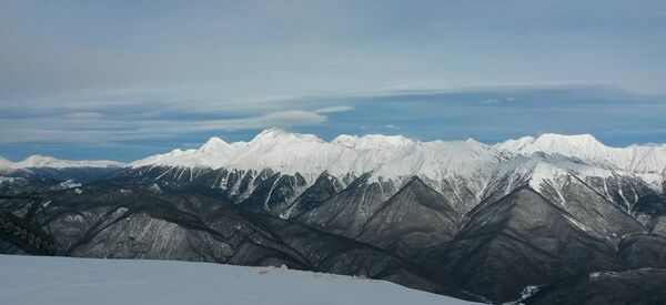 سوچی شهری متفاوت در فدراسیون روسیه سوچی شهری متفاوت در فدراسیون روسیه - اسپوتنیک ایران