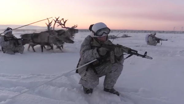Russian Arctic Troops Hold Training With Husky Dogs, Reindeers - اسپوتنیک ایران  