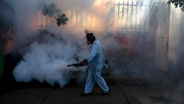 Работник окуривает дом для борьбы с москитами в вирусом Зика в Никарагуа - اسپوتنیک ایران  