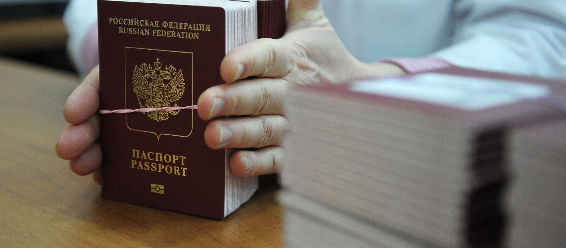 پیشنهاد صدور گذرنامه طلایی برای خارجی ها در روسیه  - اسپوتنیک ایران  , 1920, 20.11.2020