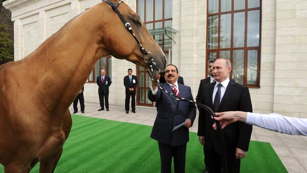 پوتین به پادشاه بحرین اسب مسابقه هدیه داد - اسپوتنیک ایران  
