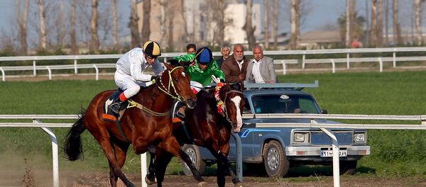 رستاخيز اسبدواني ايران - اسپوتنیک ایران  