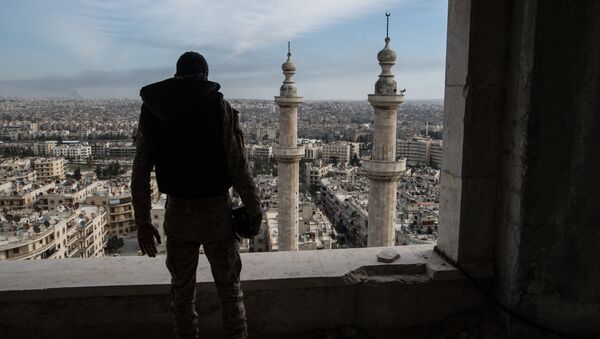 Военнослужащий Сирийской Арабской армии в городе Алеппо - اسپوتنیک ایران  