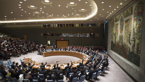 ارسال پیش نویس قطعنامه آتش بس در سوریه به شورای امنیت سازمان ملل - اسپوتنیک ایران  