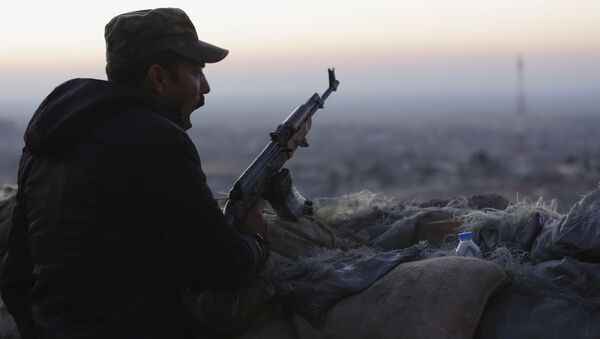 پیشمرگ کردستان عراق - اسپوتنیک ایران  