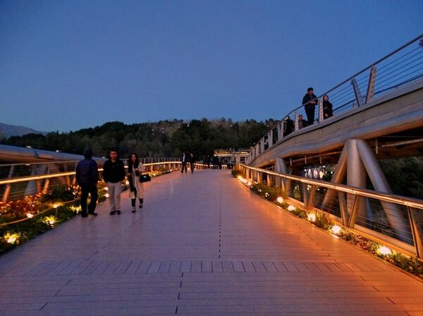 نمایی از پل طبیعت - اسپوتنیک ایران  