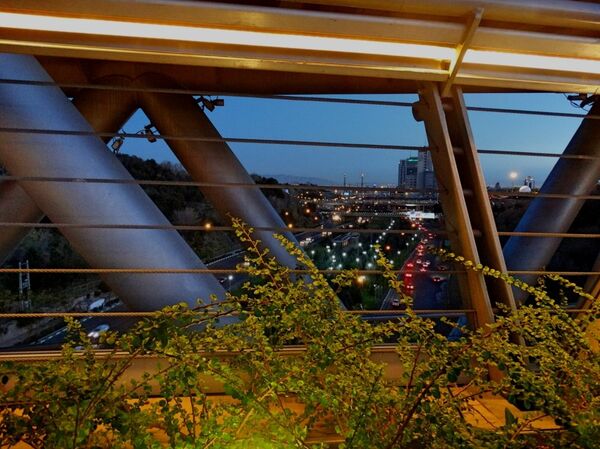 نمای بزرگراه مدرس از روی پل طبیعت  - اسپوتنیک ایران  