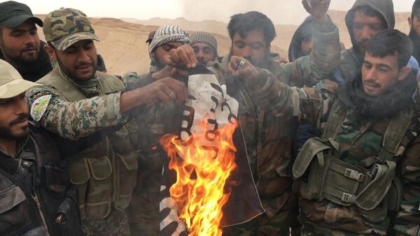 Сирийские военные сжигают флаг ИГ, который был снят с древнего замка Пальмиры - اسپوتنیک ایران  