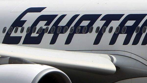 An EgyptAir plane is seen on the runway at Cairo Airport, Egypt in this September 5, 2013 file photo - اسپوتنیک ایران  
