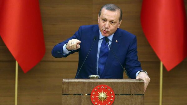 رجب طیب اردوغان ، رئیس جمهور ترکیه - اسپوتنیک ایران  