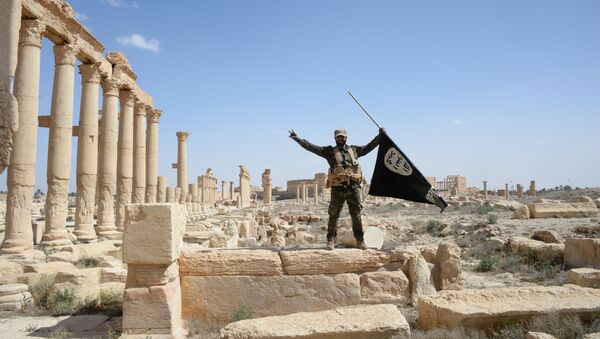 Боец отряда народного ополчения Соколы пустыни держит флаг ИГИЛ, в исторической части Пальмиры - اسپوتنیک ایران  