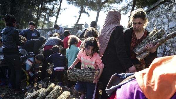 Беженцы во время сбора веток для костра в греческом Идомени - اسپوتنیک ایران  